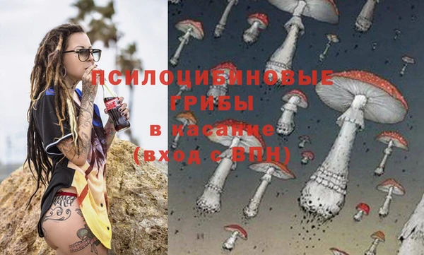альфа пвп Богородицк