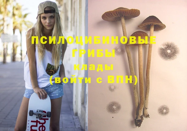 альфа пвп Богородицк