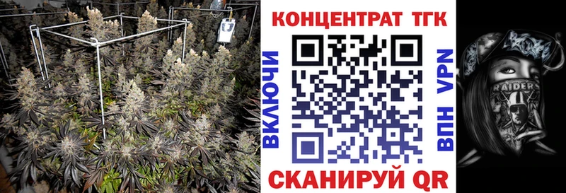 mega зеркало как найти закладки это телеграм Дистиллят ТГК вейп Острогожск